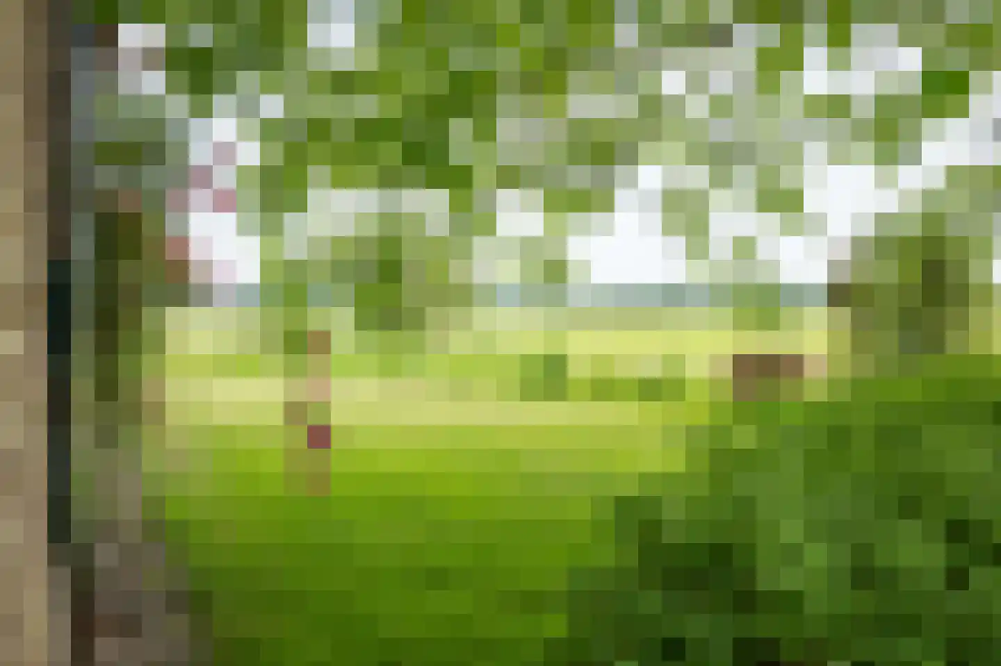 Harfsense Steeg 34 Harfsen thumbnail 7