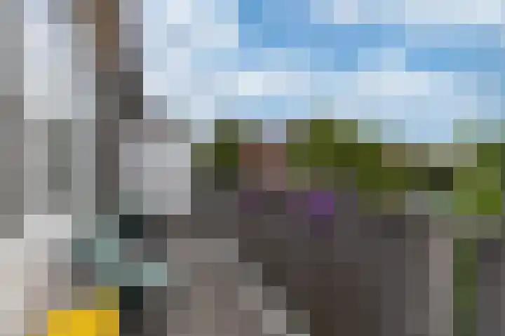Hargewaard 152 Alkmaar thumbnail 17