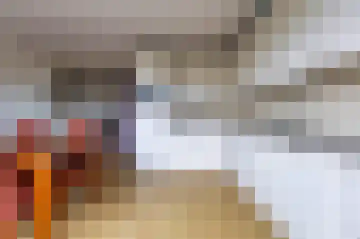 Hargewaard 152 Alkmaar thumbnail 18