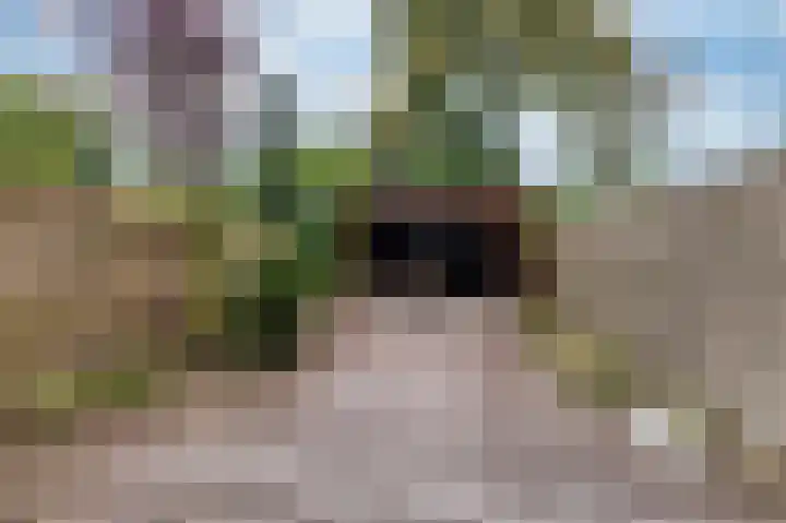 Hargewaard 152 Alkmaar thumbnail 8