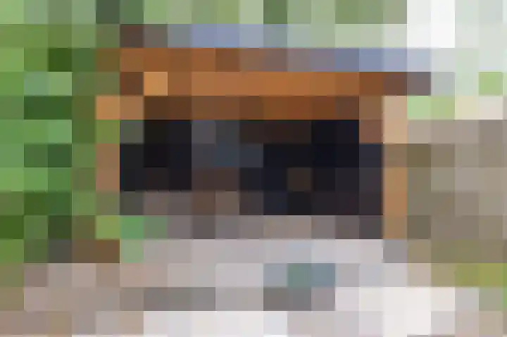 Hargewaard 152 Alkmaar thumbnail 9