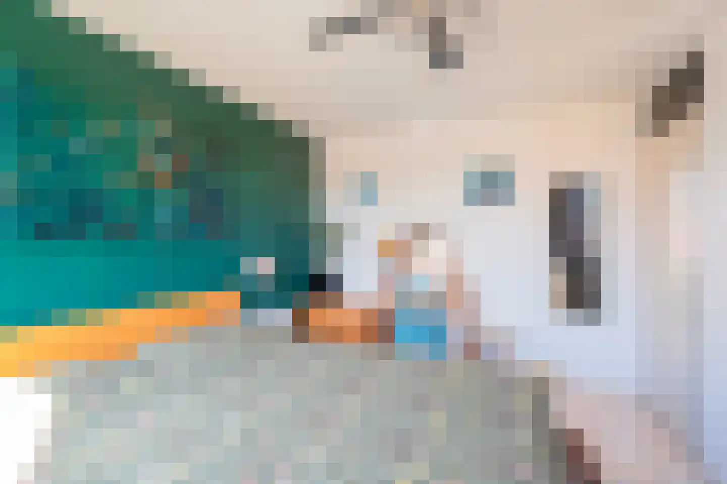 Hargewaard 96 Alkmaar thumbnail 16