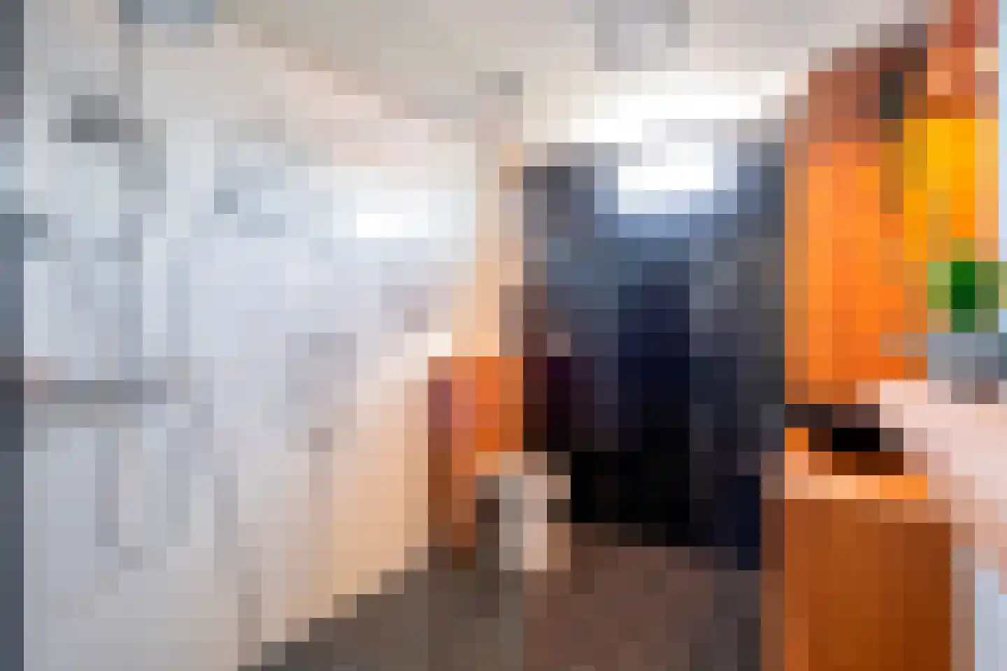 Hargewaard 96 Alkmaar thumbnail 22