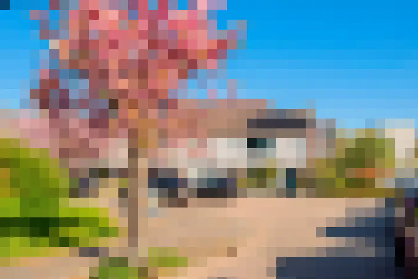 Hargewaard 96 Alkmaar thumbnail 32