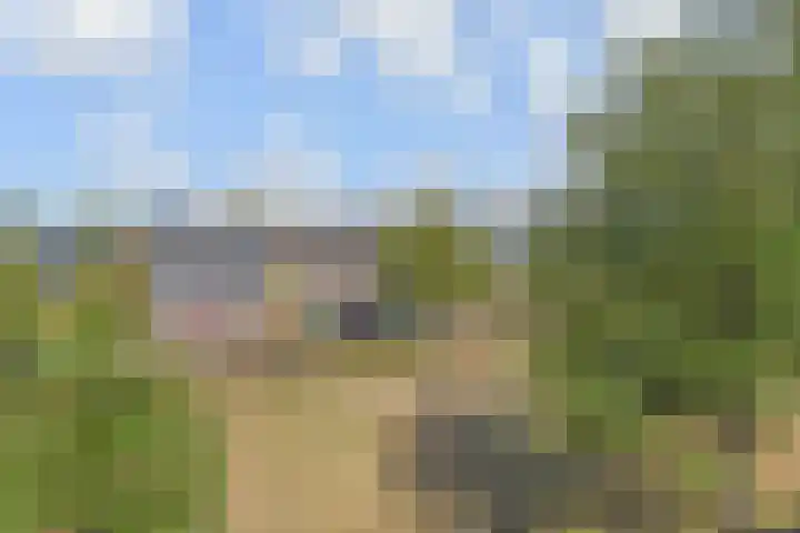 Hargpad 6 Pijnacker thumbnail 24