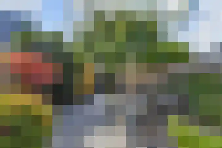 Hargpad 6 Pijnacker thumbnail 25