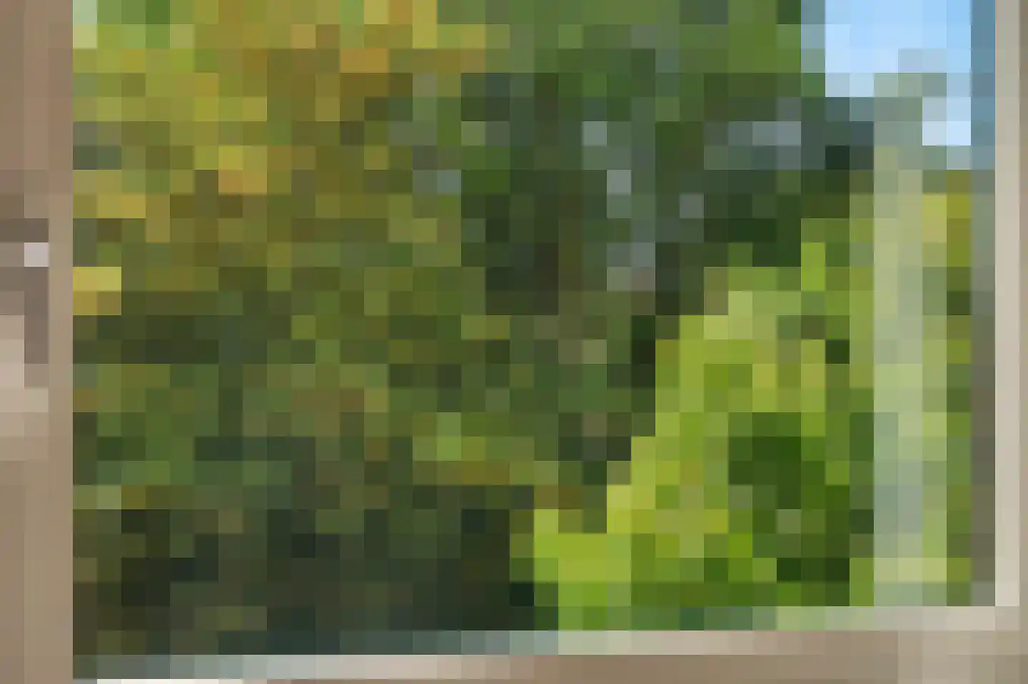 Hargplein 137 Schiedam thumbnail 32