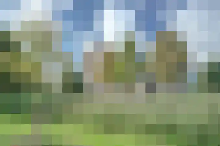 Hargplein 173 Schiedam thumbnail 33
