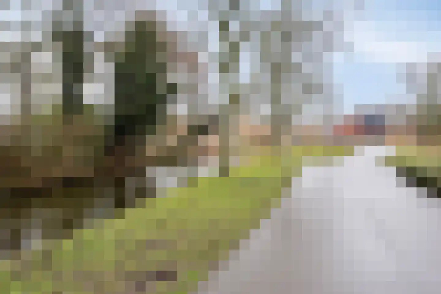 Hargplein 31 Schiedam thumbnail 32