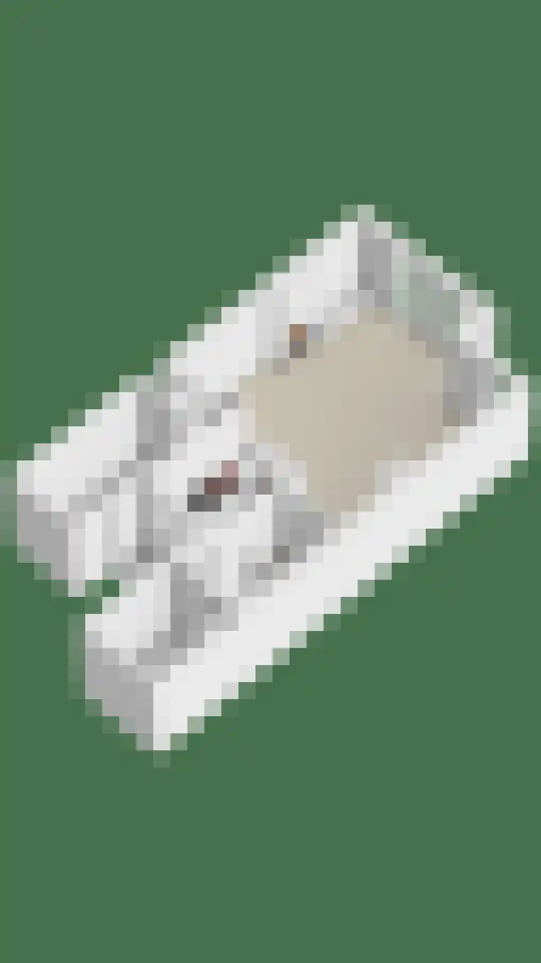 Hargplein 31 Schiedam thumbnail 35