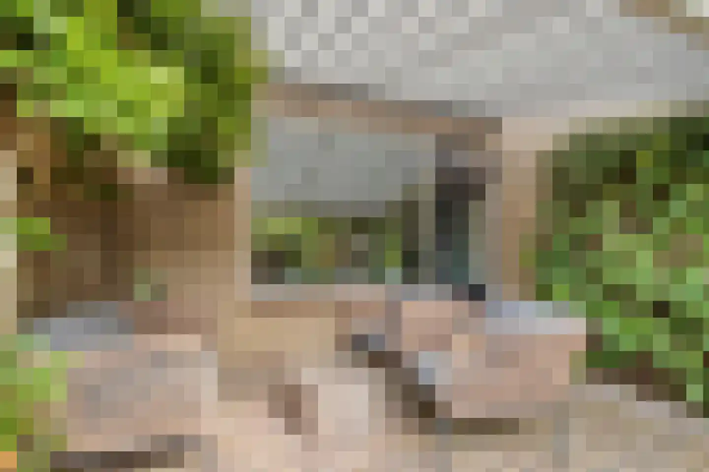 Hargplein 66 Schiedam thumbnail 30