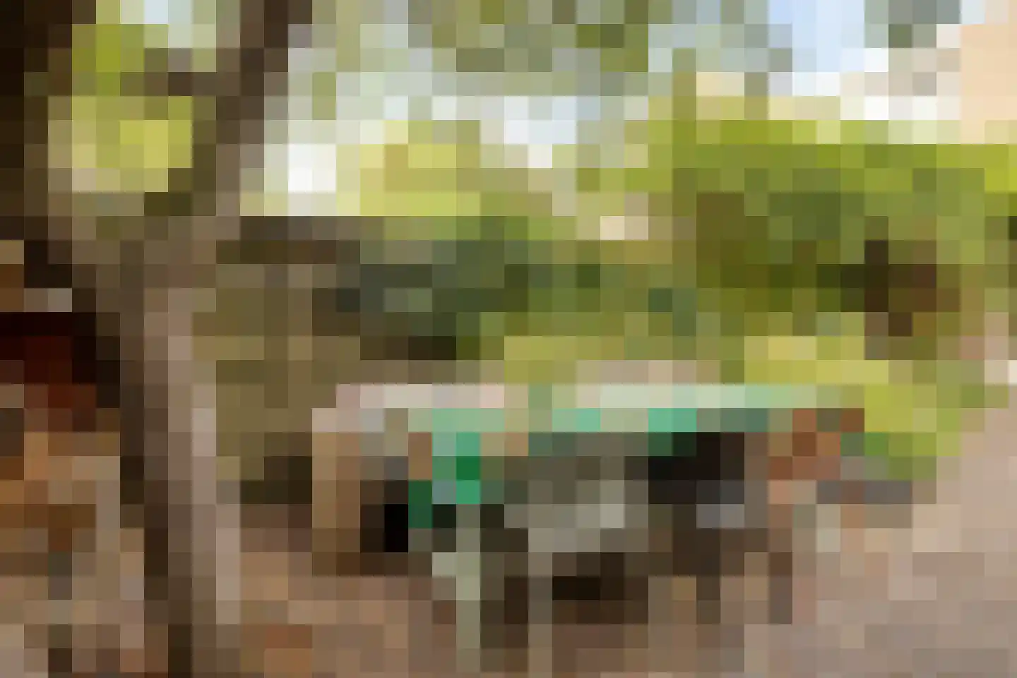 Hargplein 66 Schiedam thumbnail 32