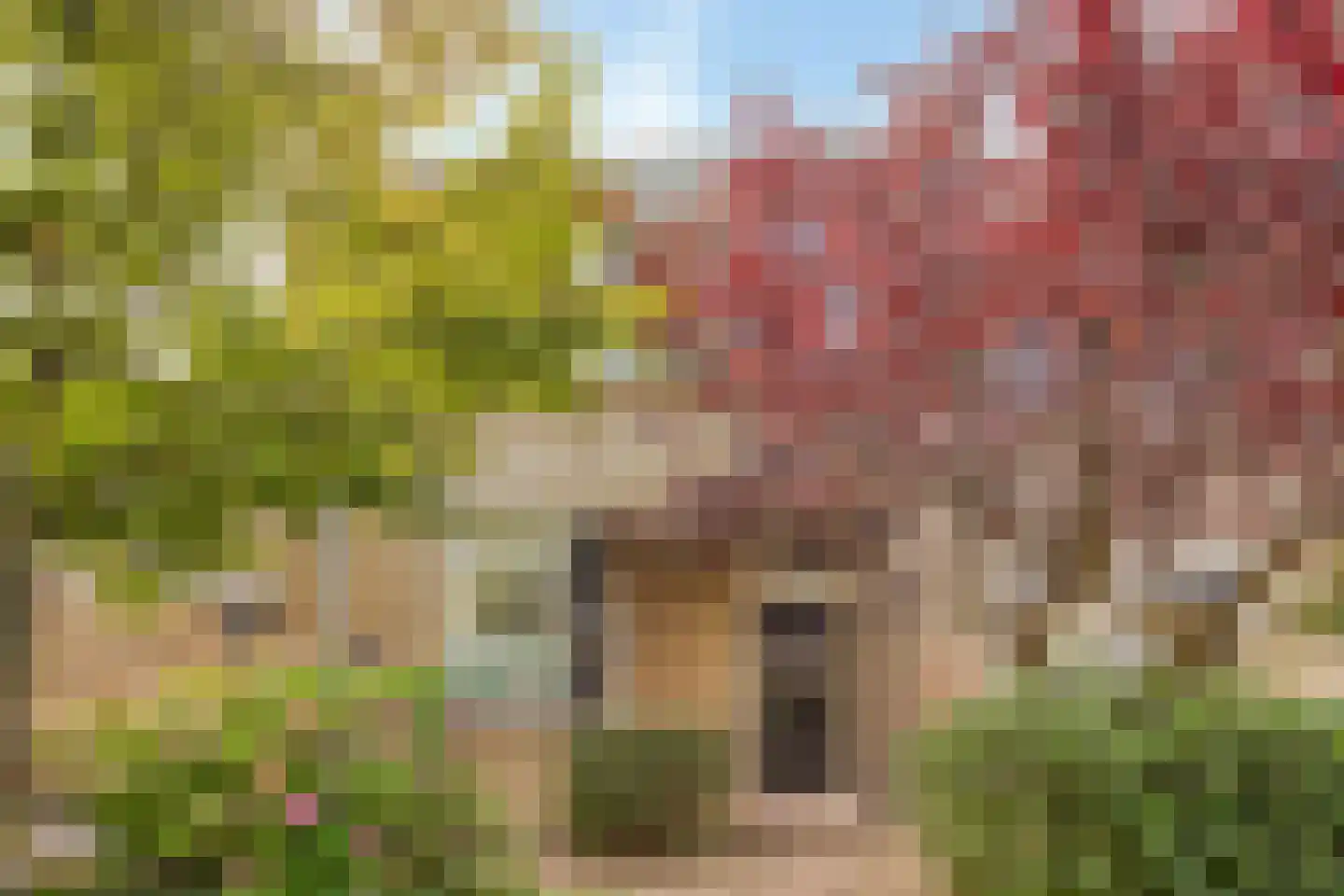 Hargplein 66 Schiedam thumbnail 4