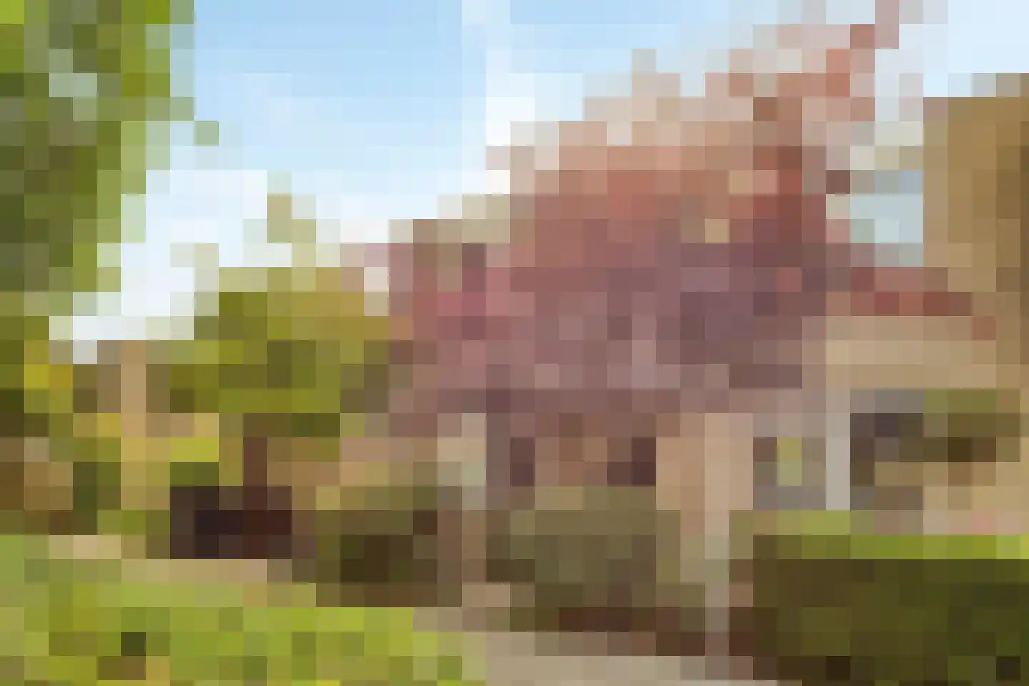 Hargplein 66 Schiedam thumbnail 5