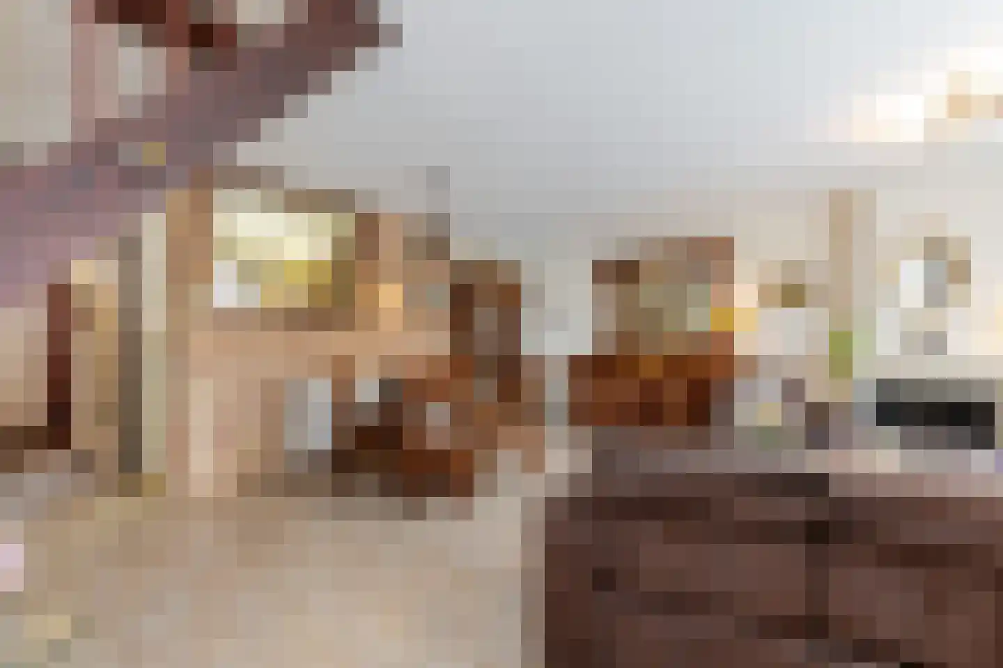 Hargplein 84 Schiedam thumbnail 16