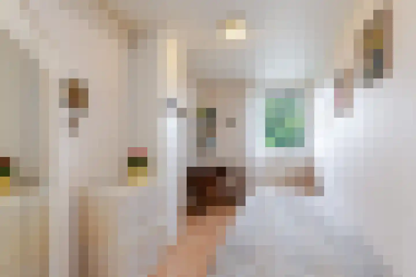 Hargplein 84 Schiedam thumbnail 43