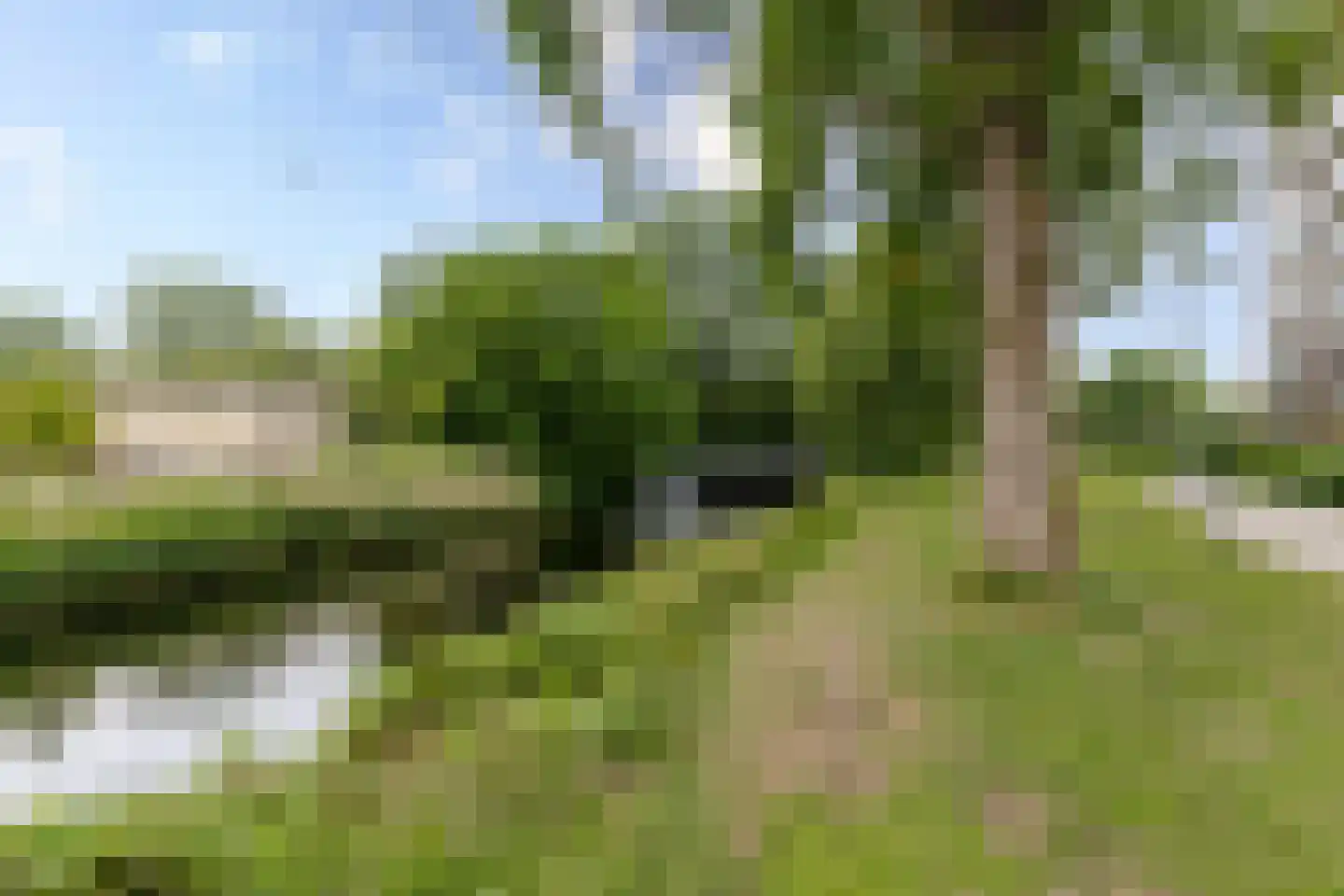 Hargplein 84 Schiedam thumbnail 50