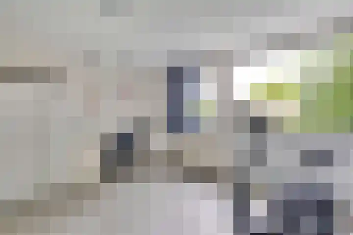 Hargplein 9 Schiedam thumbnail 25