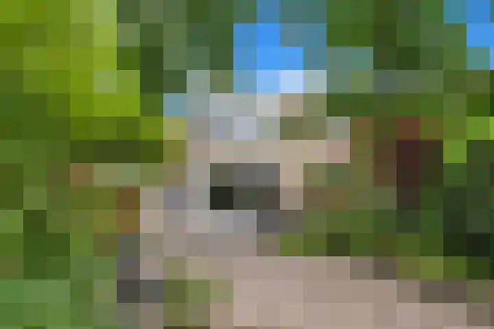 Hargplein 9 Schiedam thumbnail 31