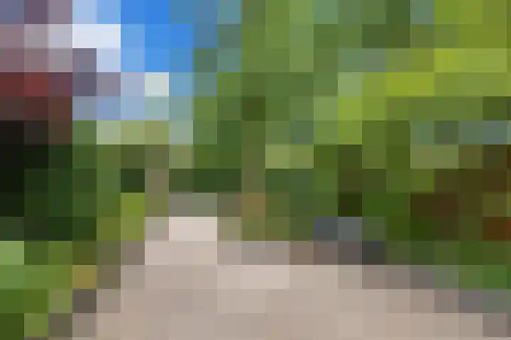 Hargplein 9 Schiedam thumbnail 5