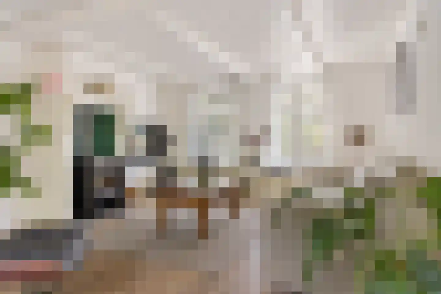 Harichsterdyk 58 Harich thumbnail 17