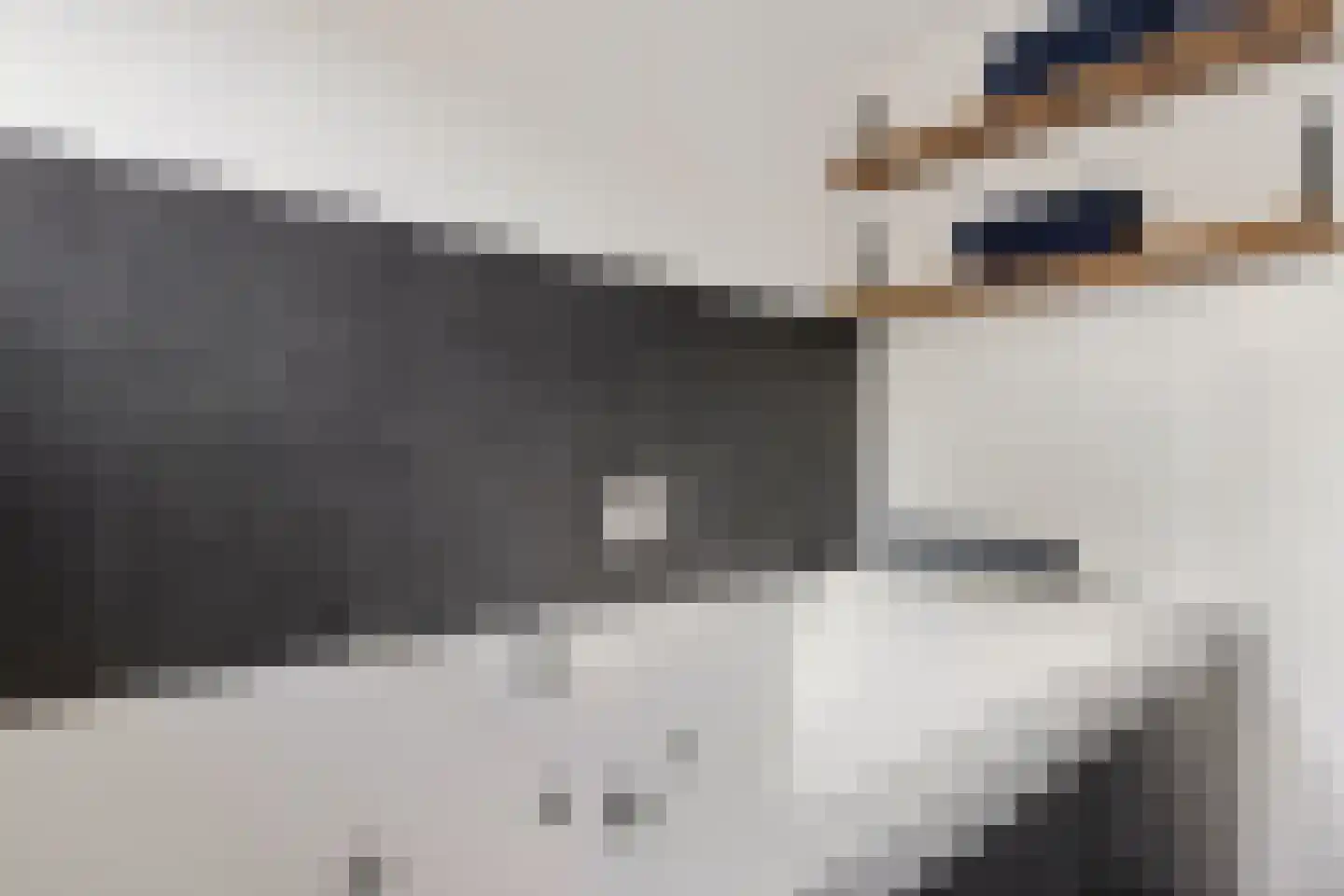 Harichsterdyk 58 Harich thumbnail 25