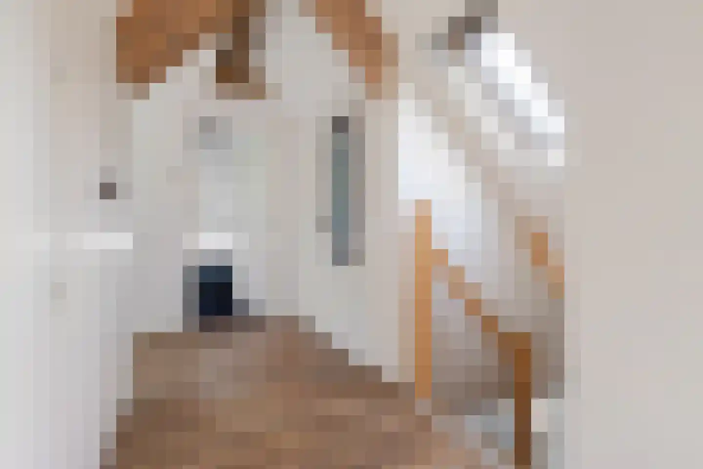 Harichsterdyk 58 Harich thumbnail 31