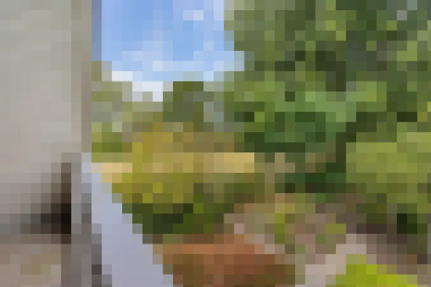 Harichsterdyk 58 Harich thumbnail 36