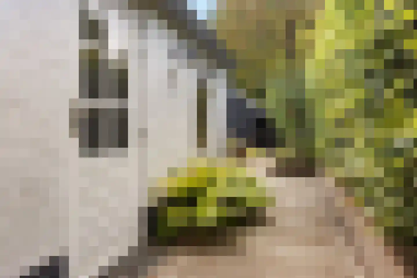 Harichsterdyk 58 Harich thumbnail 37