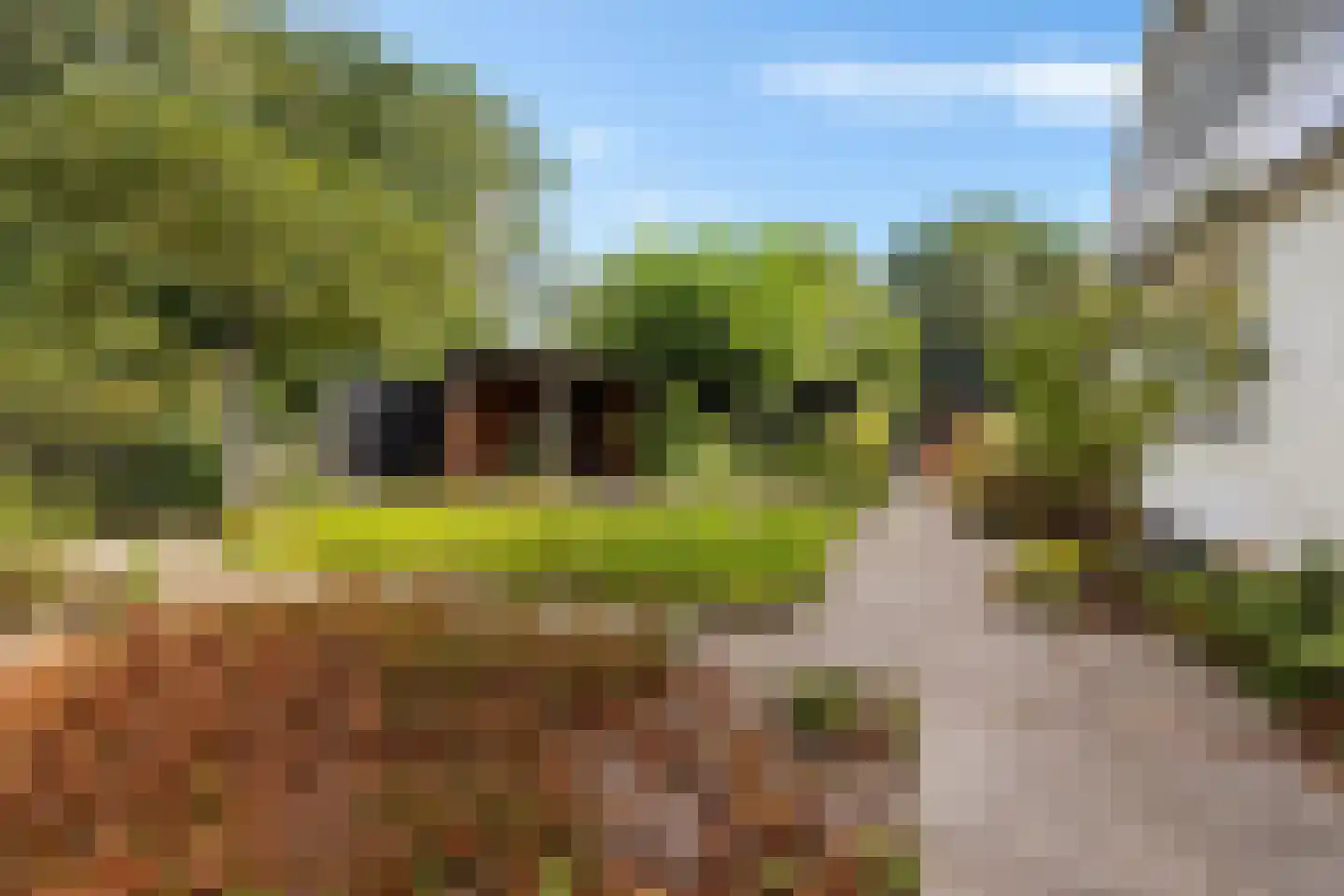 Harichsterdyk 58 Harich thumbnail 38