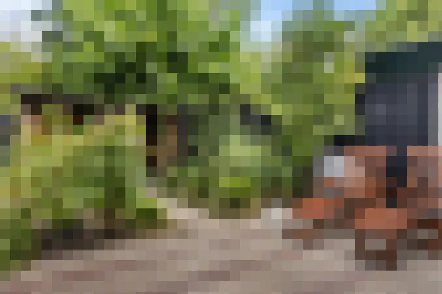 Harichsterdyk 58 Harich thumbnail 42