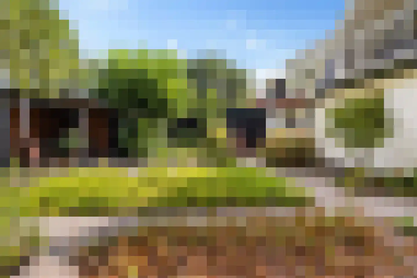 Harichsterdyk 58 Harich thumbnail 43