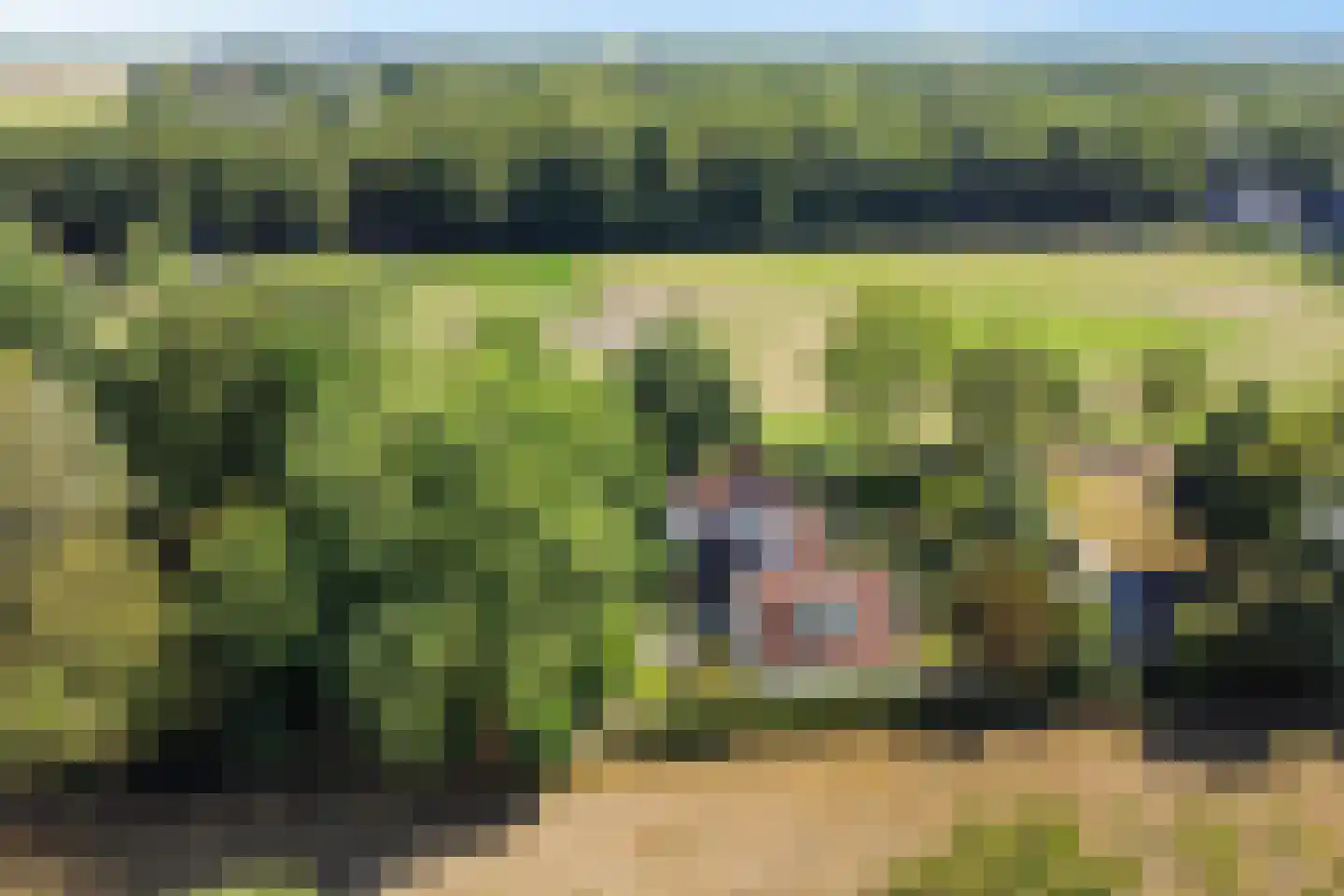 Harichsterdyk 58 Harich thumbnail 46