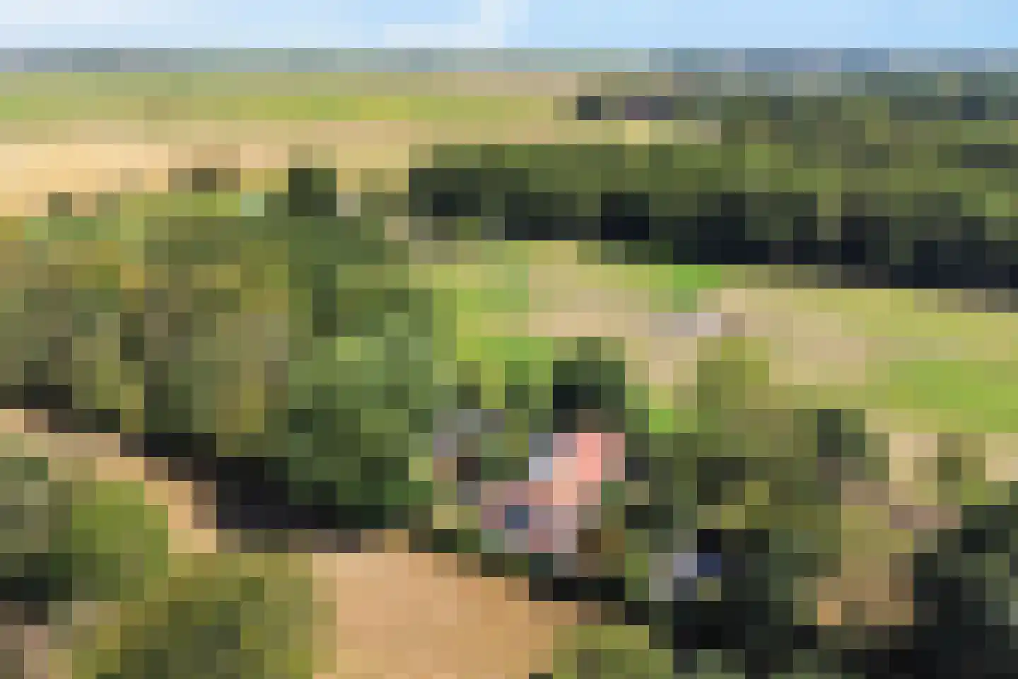 Harichsterdyk 58 Harich thumbnail 47