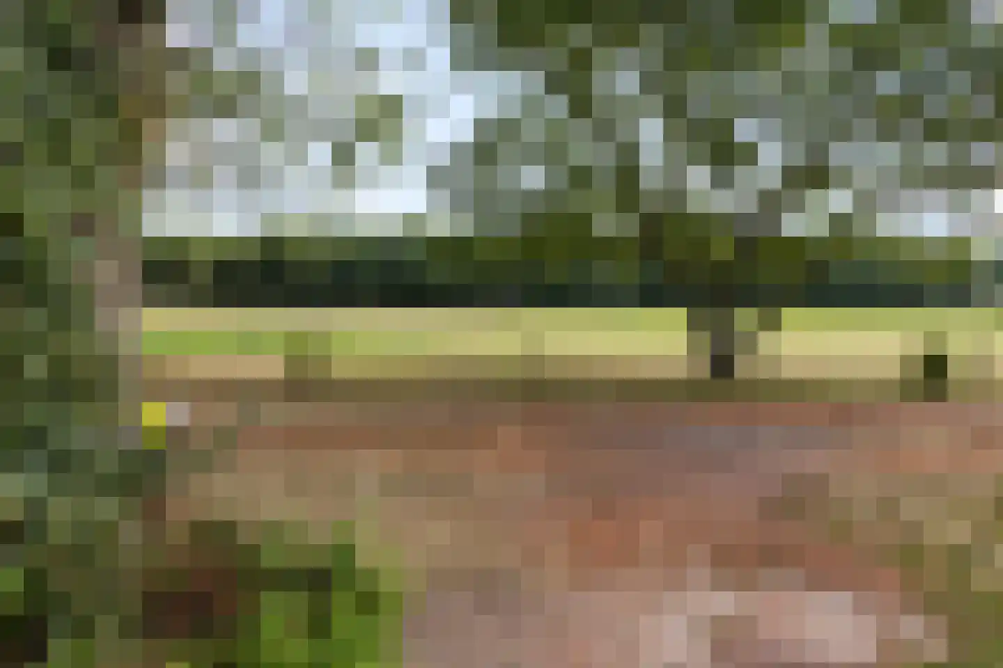Harichsterdyk 58 Harich thumbnail 5