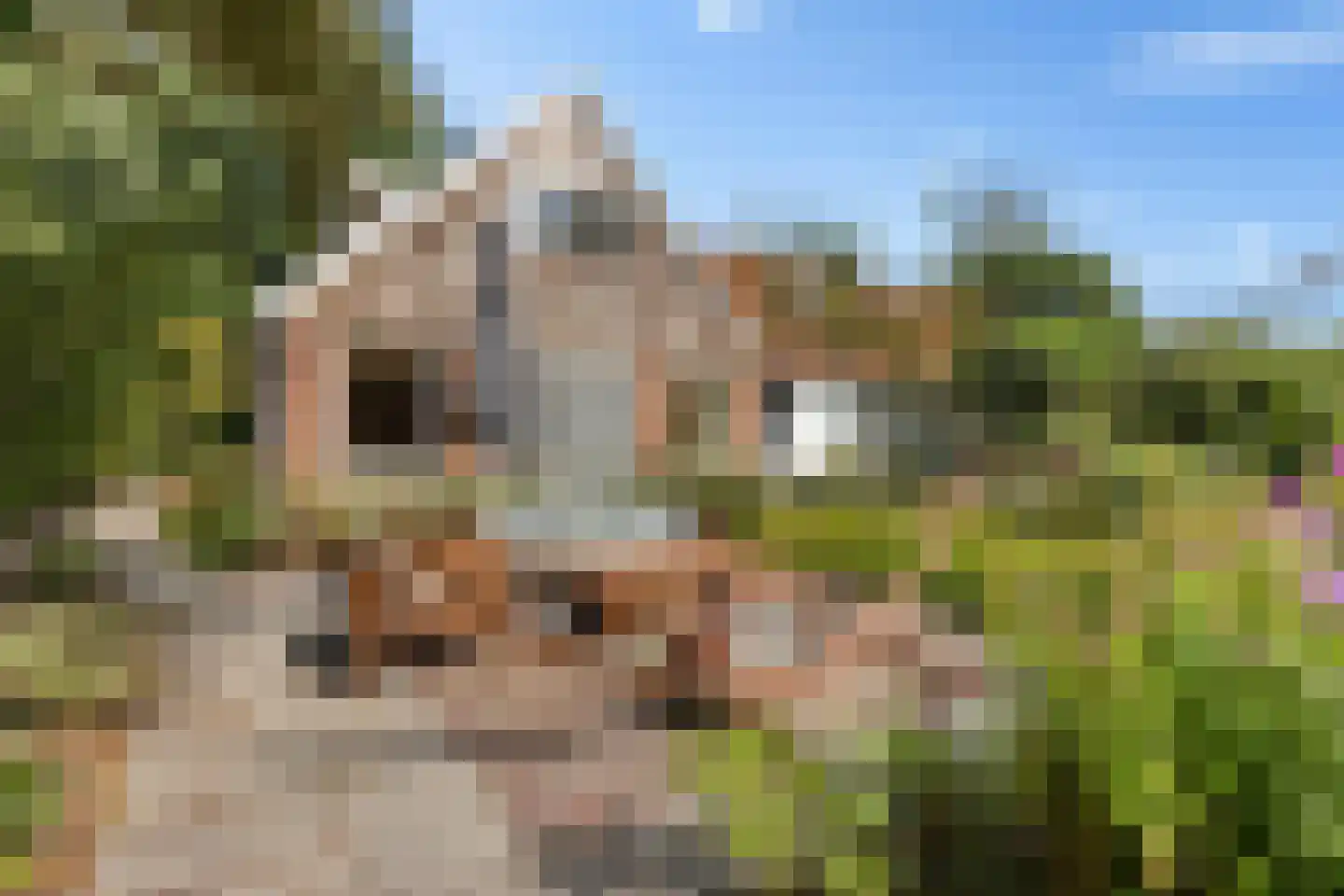 Harichsterdyk 58 Harich thumbnail 6