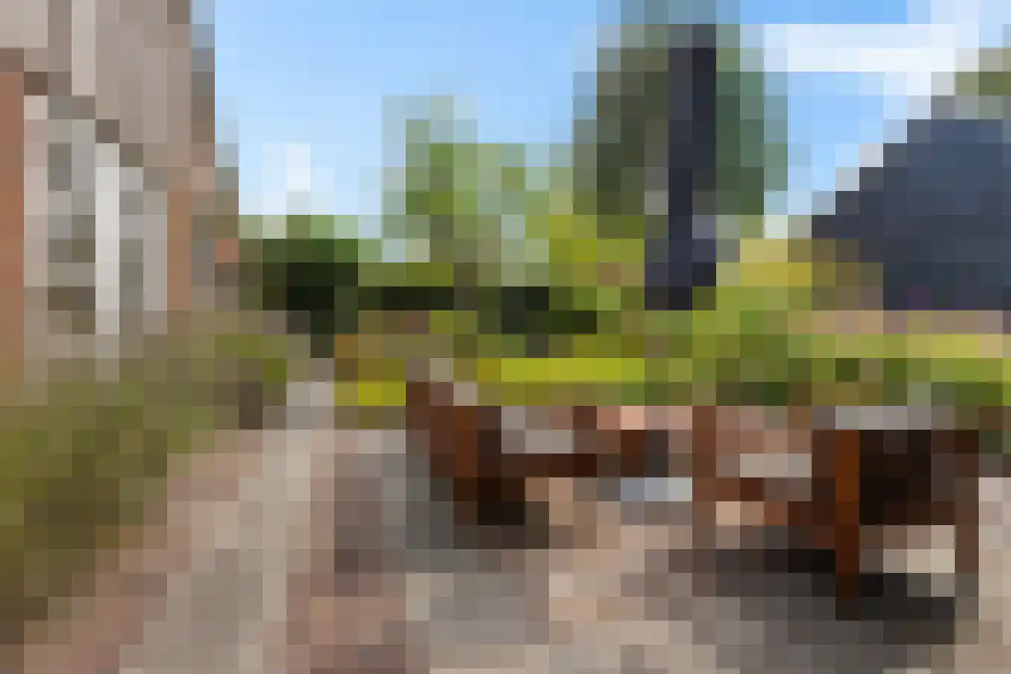 Harichsterdyk 58 Harich thumbnail 7