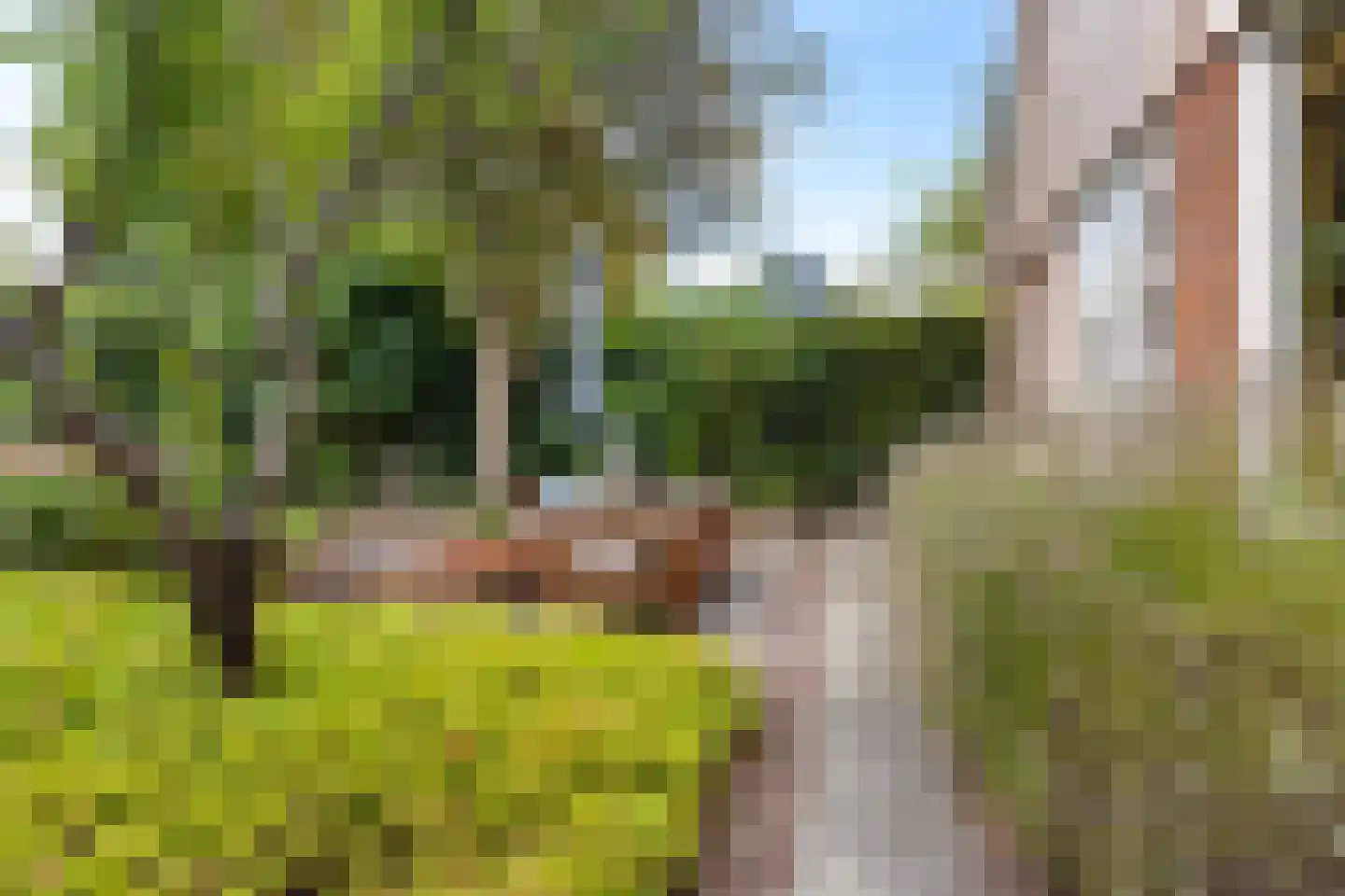Harichsterdyk 58 Harich thumbnail 8
