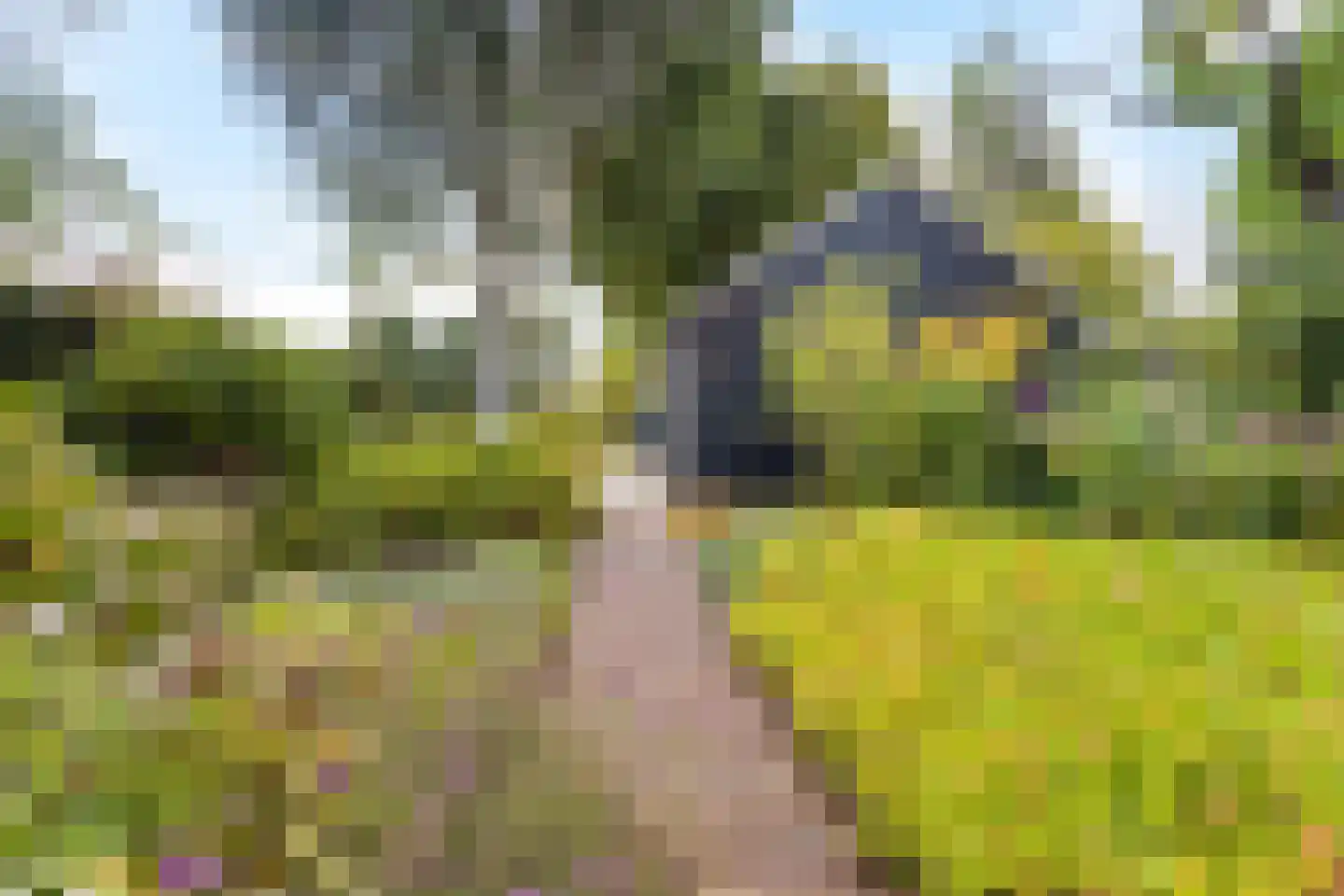 Harichsterdyk 58 Harich thumbnail 9