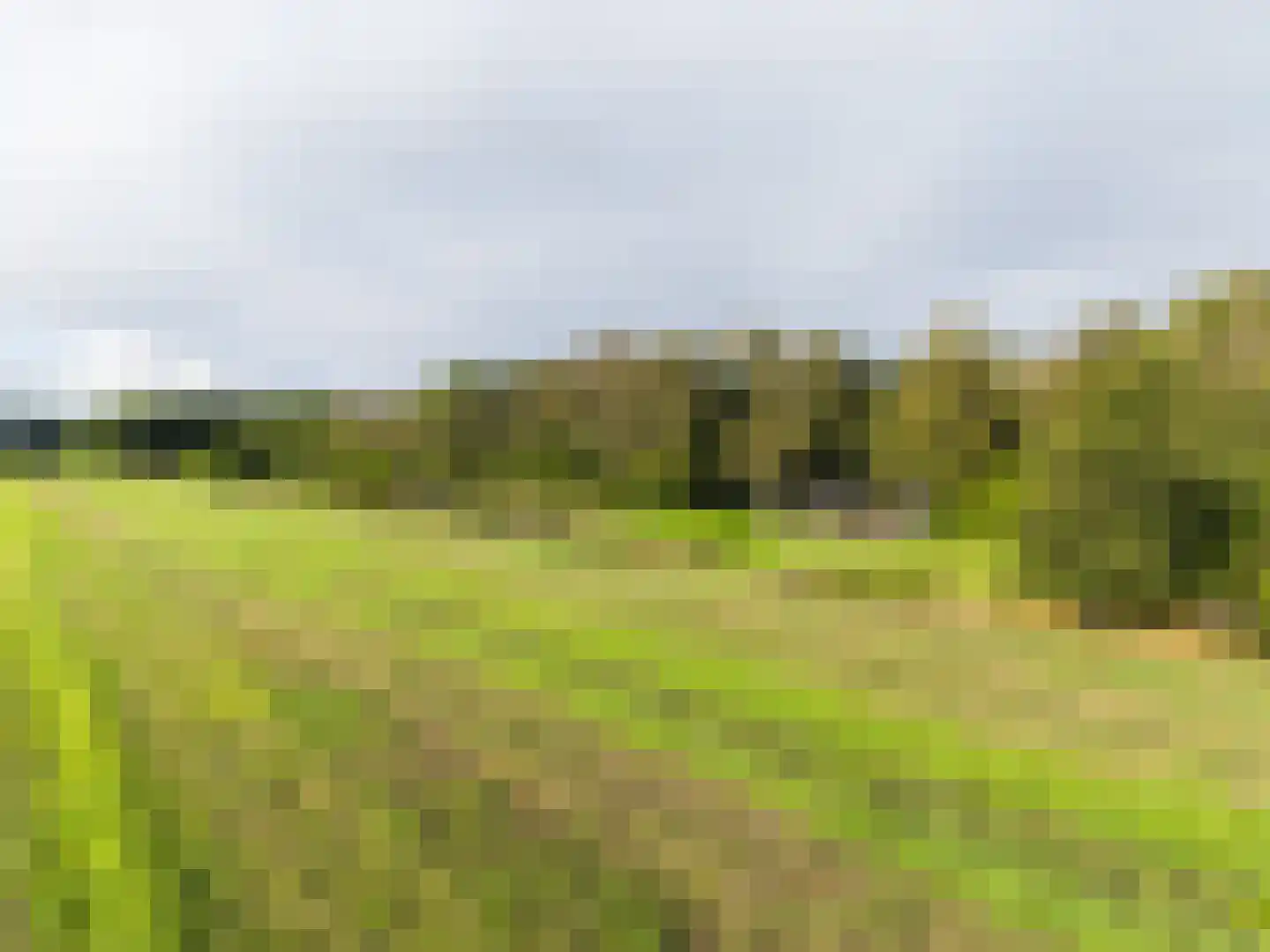 Harichsterdyk 74 Harich thumbnail 10