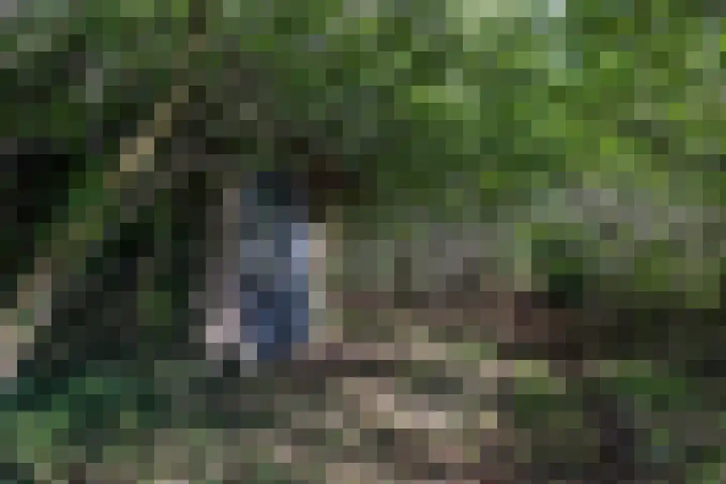 Harichsterdyk 74 Harich thumbnail 102