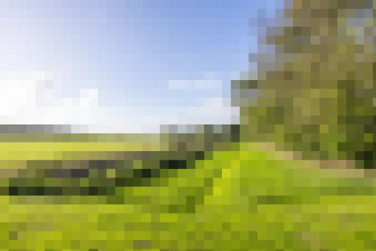 Harichsterdyk 74 Harich thumbnail 104