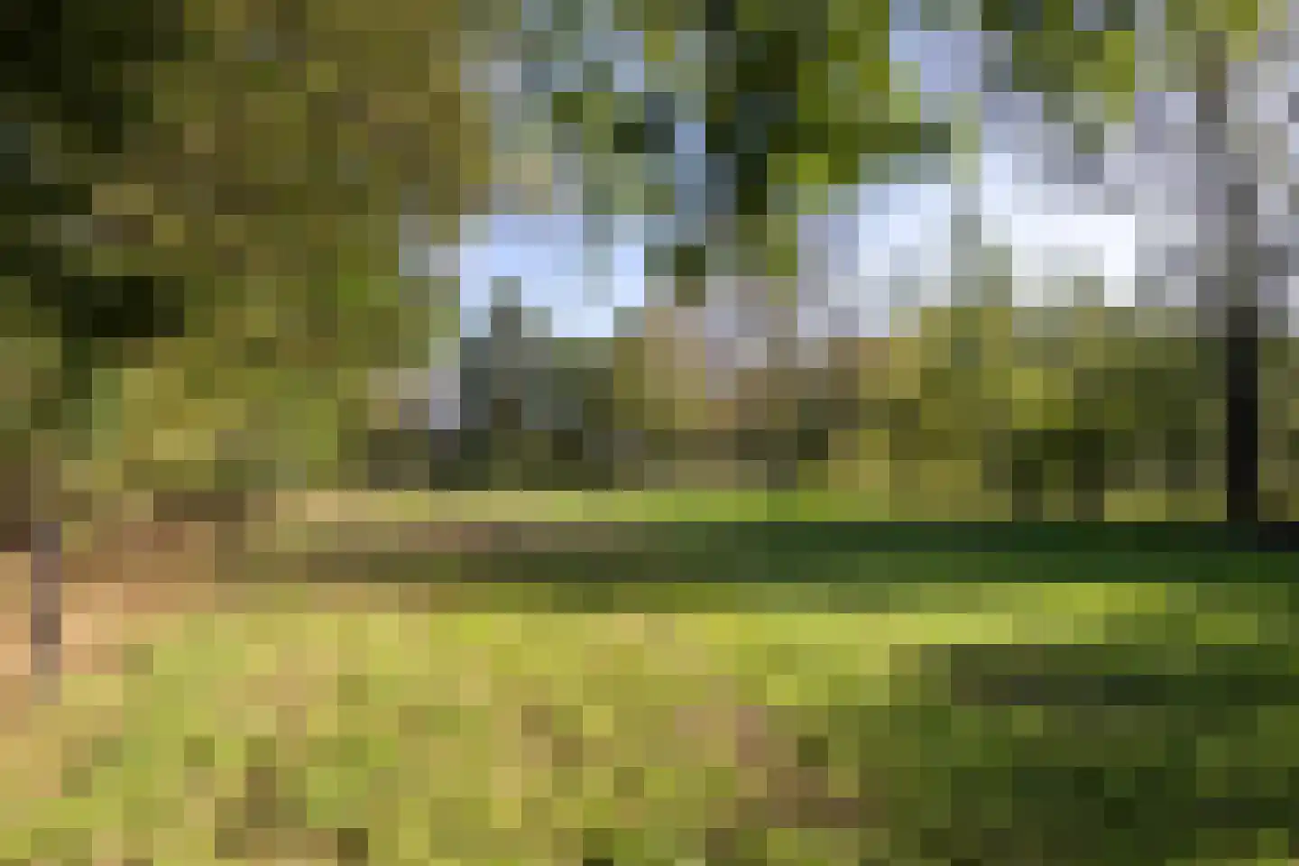 Harichsterdyk 74 Harich thumbnail 105