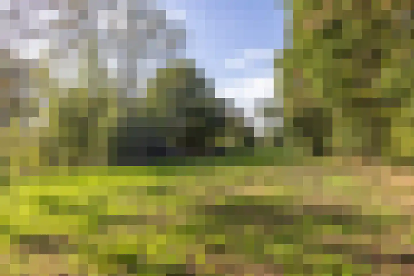Harichsterdyk 74 Harich thumbnail 106