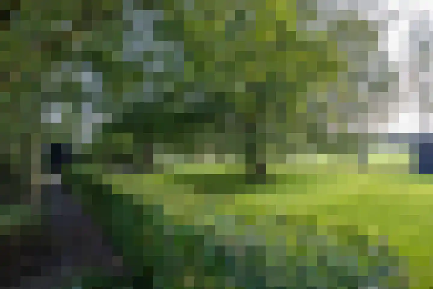 Harichsterdyk 74 Harich thumbnail 107