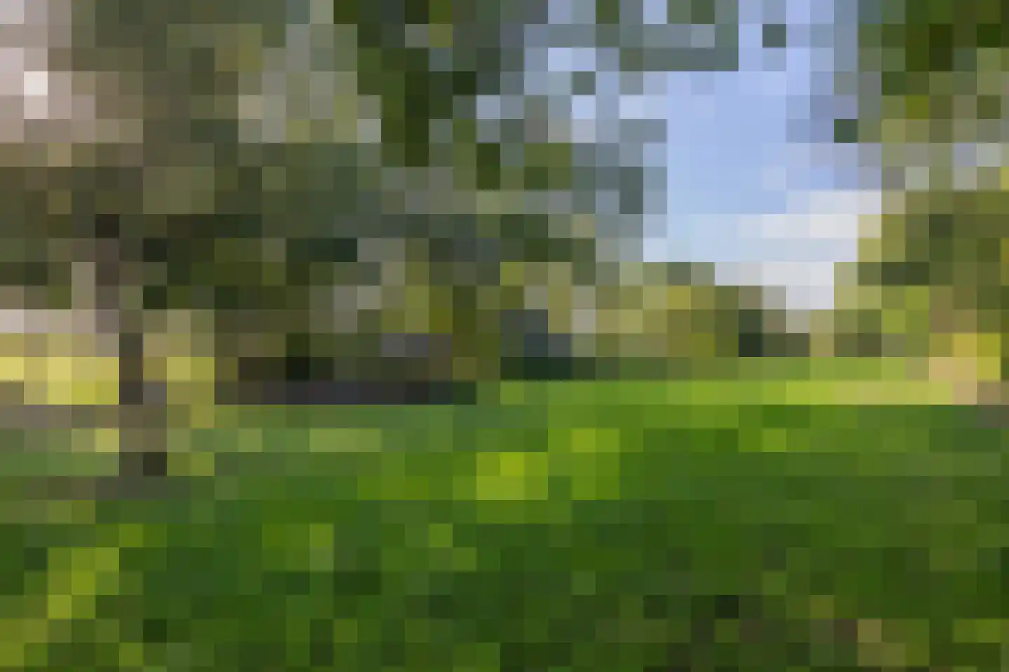 Harichsterdyk 74 Harich thumbnail 108