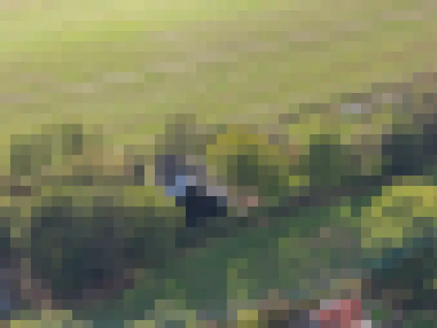 Harichsterdyk 74 Harich thumbnail 111