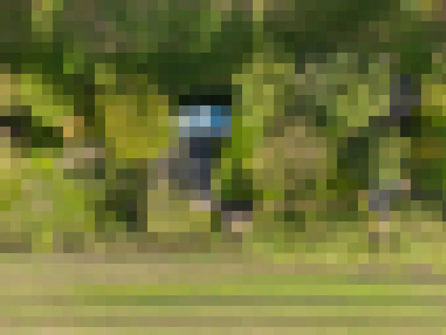 Harichsterdyk 74 Harich thumbnail 112