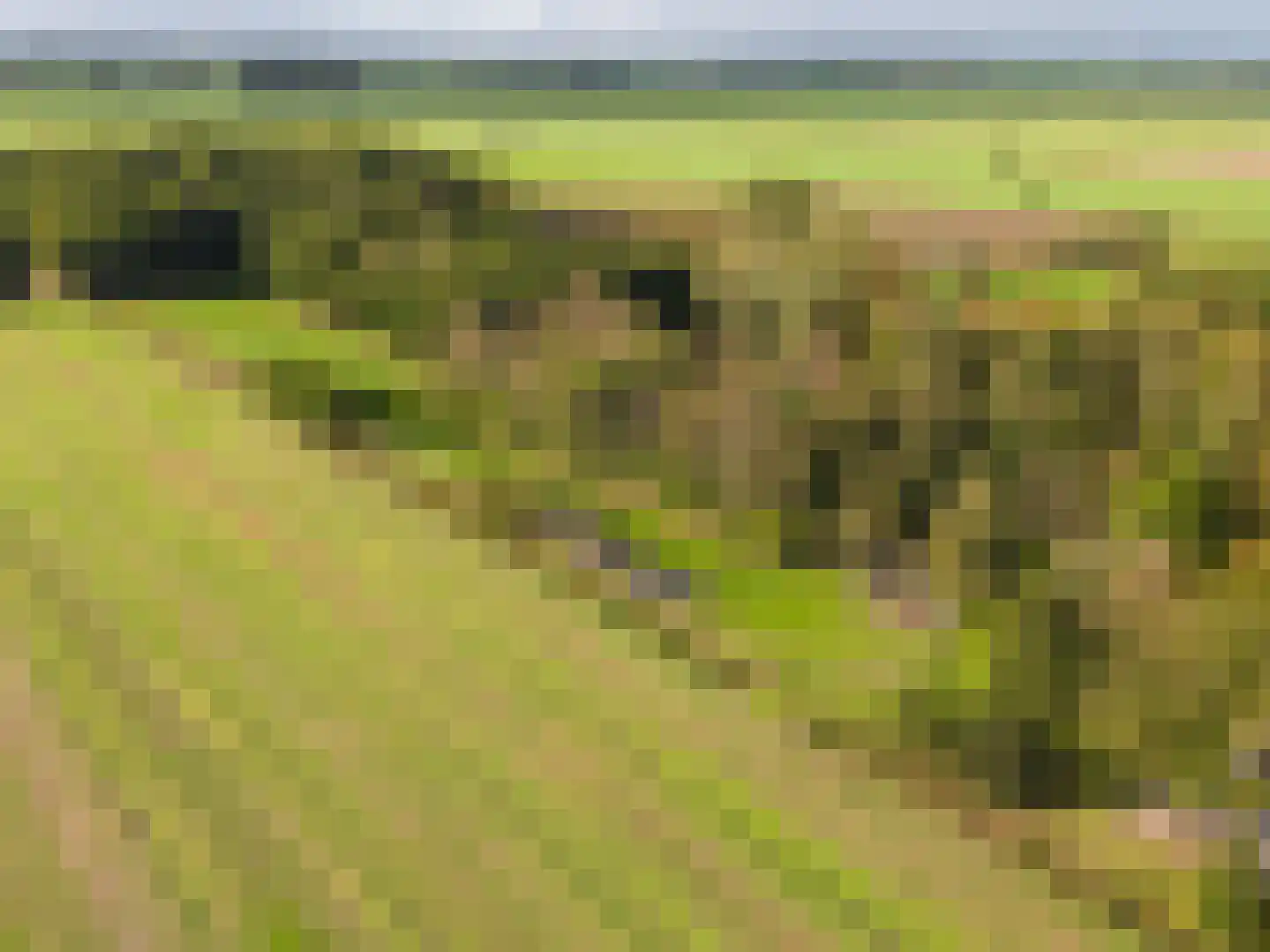 Harichsterdyk 74 Harich thumbnail 113