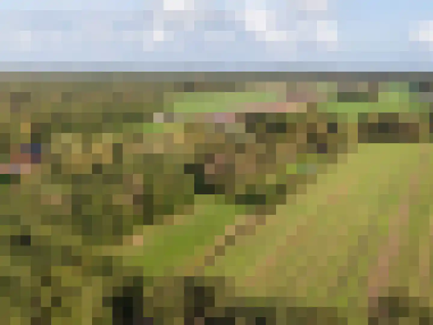 Harichsterdyk 74 Harich thumbnail 114
